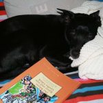 Der Kleine Ritter und sein Großes Glück von Michael Klüter - erhältlich bei Amazon