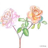 Zeichnungen | Die Rosen | Marion Klüter | Bild 8