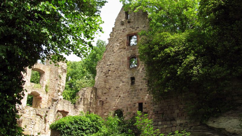 Galerie: Lost Places – Die Burgruine Hardenberg