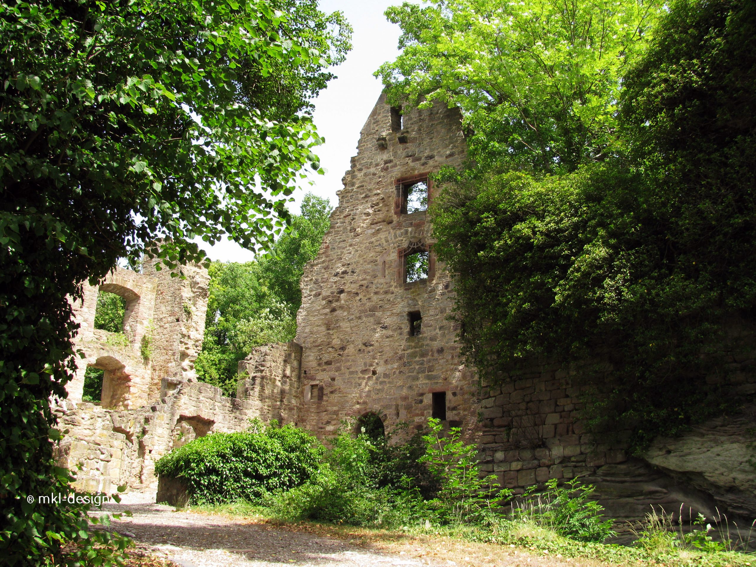 Galerie: Lost Places – Die Burgruine Hardenberg