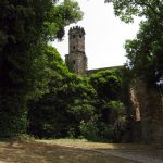 Lost Places | Burg Hardenberg | Turm Bild 46