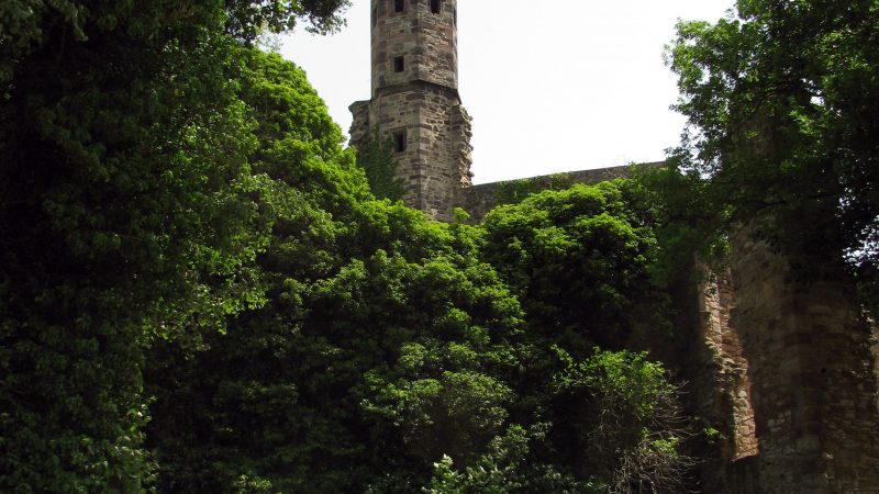 Lost Places – Die Burgruine Hardenberg