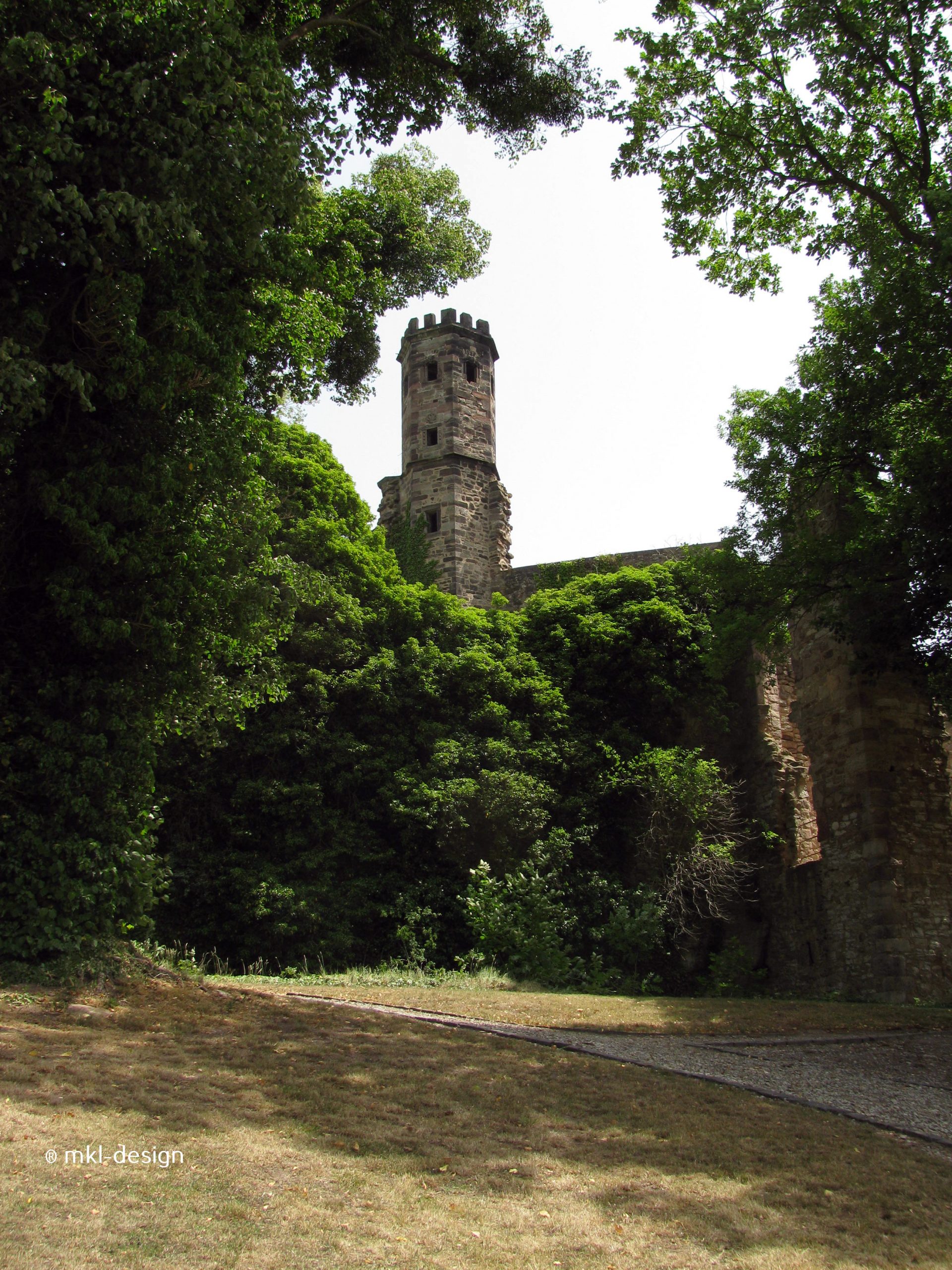 Lost Places – Die Burgruine Hardenberg