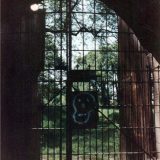 Lost Places | Burg Hardenberg | Eingangstor Bild 20