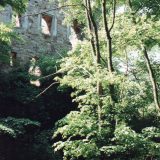 Lost Places | Burg Hardenberg | Vorderhaus Bild 21