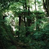 Lost Places | Burg Hardenberg | Halsgraben Bild 7