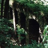 Lost Places | Burg Hardenberg | Halsgraben Bild 8