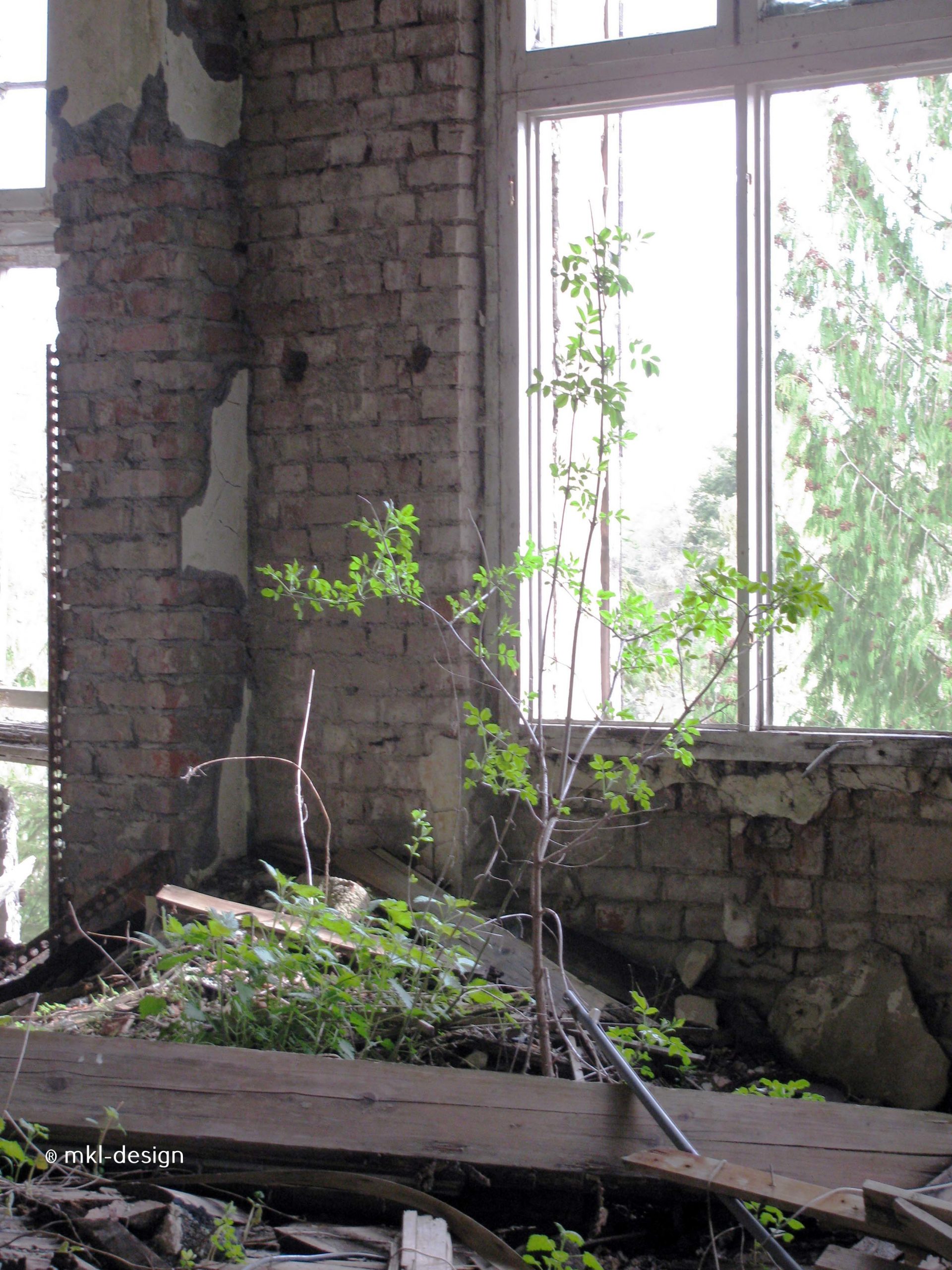 Lost Places | Johanniterheilstätte bei Sorge im Harz | Kurheim 3. Stock | Bild 55