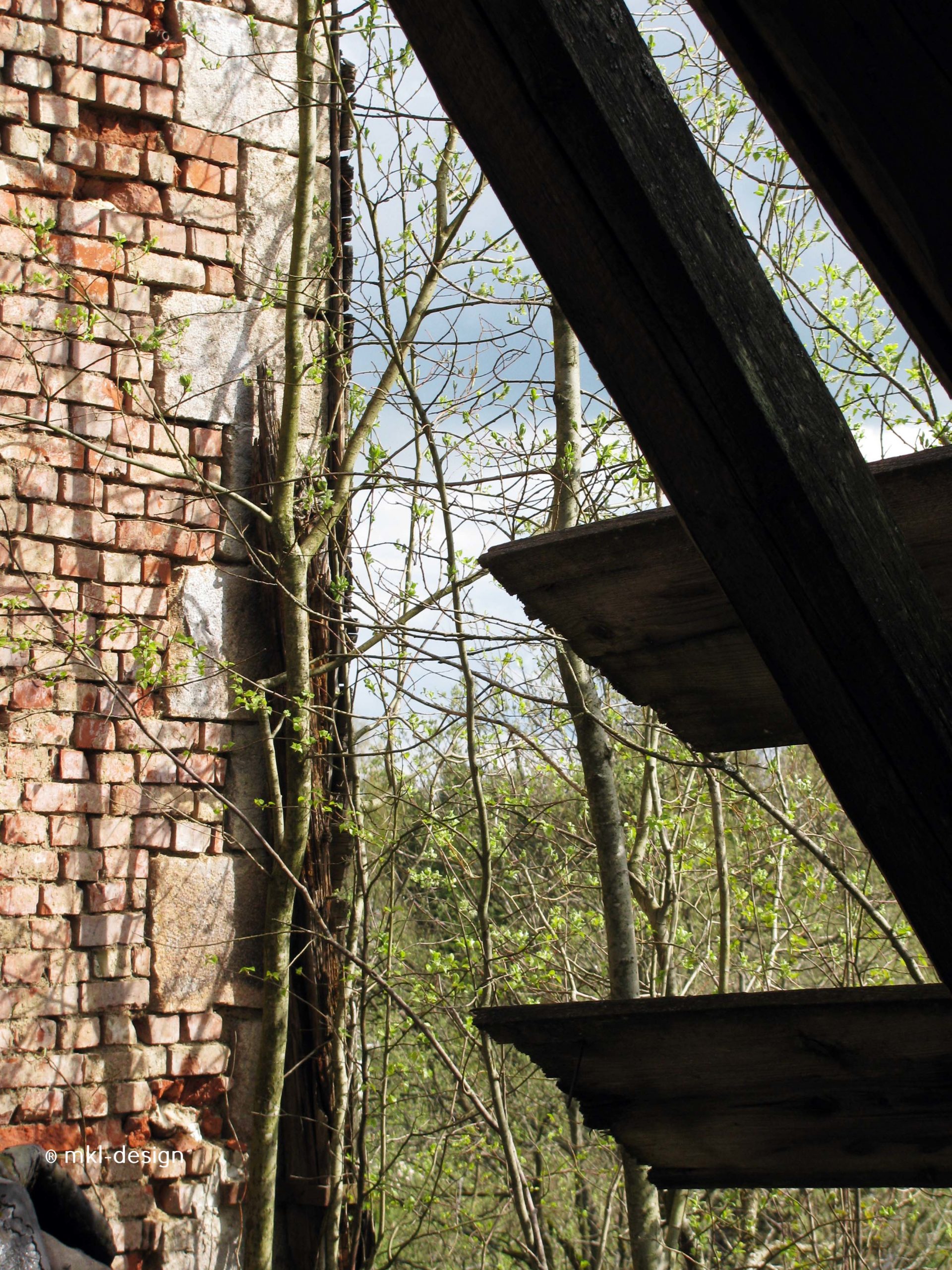 Lost Places | Johanniterheilstätte bei Sorge im Harz | Kurheim 3. Stock | Bild 58