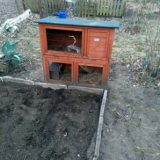 Fotos | Cavia Porcellus Castle | Der Wohnungstall | Bild 007