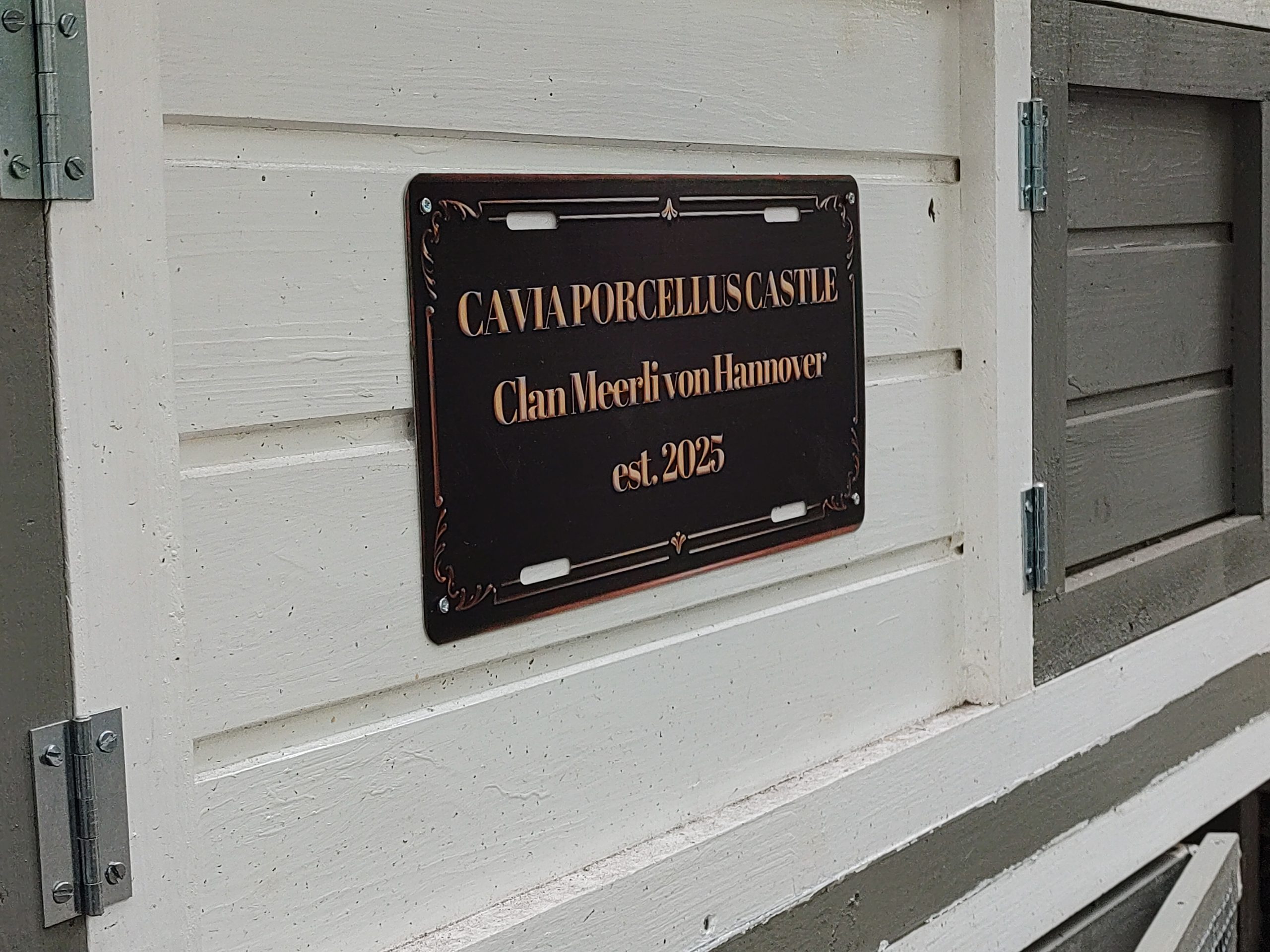 Galerie: Cavia Porcellus Castle – ein Paradies für Meerschweinchen wird gebaut