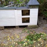 Das Winterhaus – Die Wetterfahne