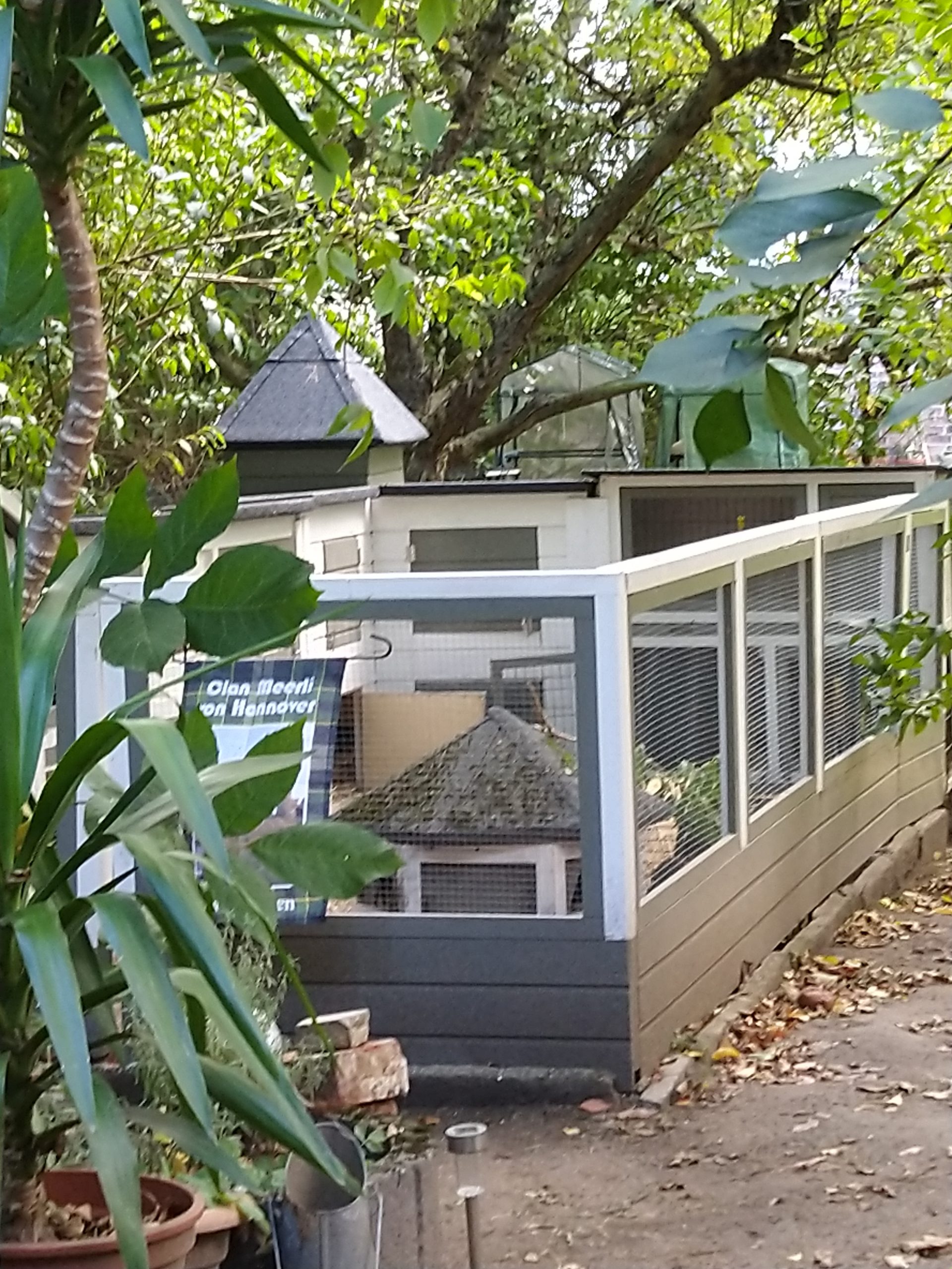 Cavia Porcellus Castle – Das Projekt geht weiter