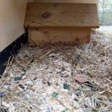 Das Winterhaus – Die obere Etage