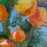 sonja-tabea-der-orangene-sommer-1