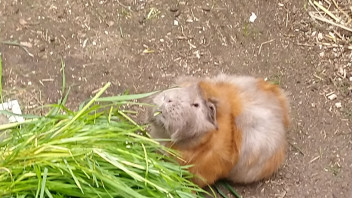 Galerie: Endlich Frühling