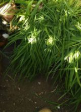 IMG_20260501_112623