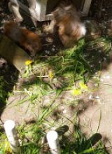 IMG_20260501_112638
