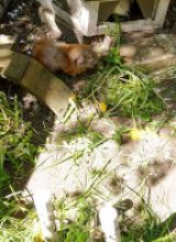 IMG_20260501_112647
