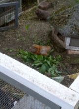 IMG_20260525_191848