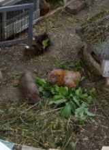 IMG_20260525_191903
