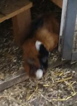 IMG_20260525_192017