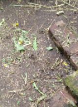 IMG_20260606_111421