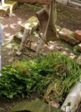 IMG_20260606_113817
