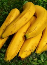 Banane