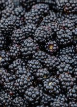 Brombeeren