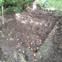 Fotos | Cavia Porcellus Castle | Der Platz für das neue Gehege | 2024 | Bild 002