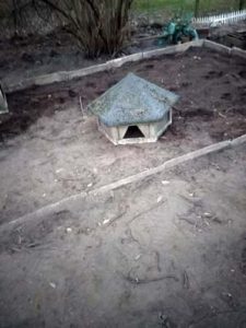 Fotos | Cavia Porcellus Castle | Der Pavillon | Bild 006