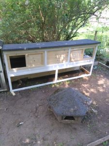 Fotos | Cavia Porcellus Castle | Der Bau des Sommerhauses - Das Dach | Bild 021