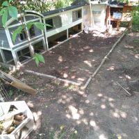 Fotos | Cavia Porcellus Castle | Der Bau des Winterhauses - Der Rohbau steht | Bild 024