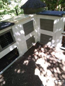 Fotos | Cavia Porcellus Castle | Das Winterhaus wird farbig und bekommt das Dach | Bild 032