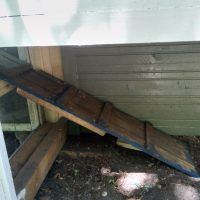 Fotos | Cavia Porcellus Castle | Das Sommerhaus – Die Treppe | Bild 041