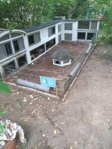 Fotos | Cavia Porcellus Castle | Die provisorische Umzäunung | Bild 004