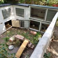 Fotos | Cavia Porcellus Castle | Das Winterhaus | Bild 034