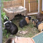 Mimi, Lars, Mei-Li und Mei-Yu