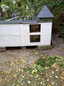 Fotos | Cavia Porcellus Castle | Das Winterhaus - Die Wetterfahne | Bild 056