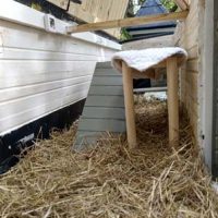 Fotos | Cavia Porcellus Castle | Das Sommerhaus - Die Inneneinrichtung | Bild 035