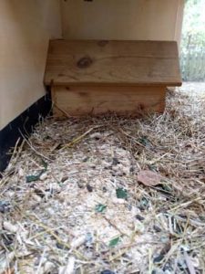 Fotos | Cavia Porcellus Castle | Das Winterhaus – Die obere Etage | Bild 069