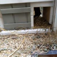 Fotos | Cavia Porcellus Castle | Die Villa – Die Schiebetür und das Treppenhaus | Bild 065