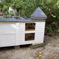 Fotos | Cavia Porcellus Castle | Das Winterhaus - Die Wetterfahne | Bild 058