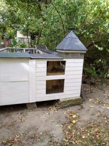 Fotos | Cavia Porcellus Castle | Das Winterhaus - Die Wetterfahne | Bild 058