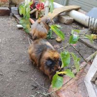 Maj und Momo