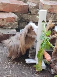 Freya | Bild 46