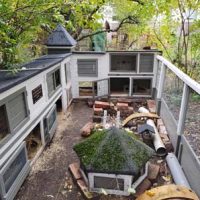 Fotos | Cavia Porcellus Castle | Das Winterhaus steht | Bild 061