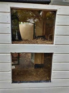 Fotos | Cavia Porcellus Castle | Das Winterhaus - Die Fenster | Bild 042