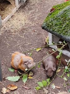 Momo und Giacomo